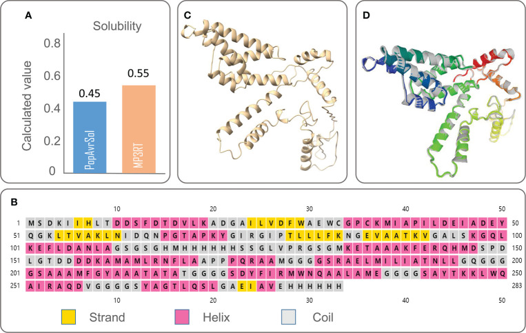 Figure 1