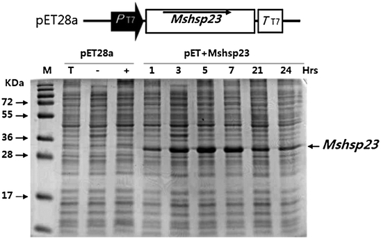 Fig. 2