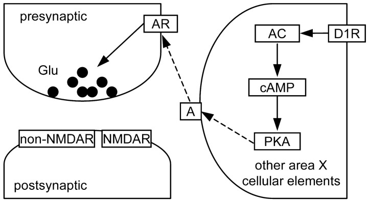 Figure 12.