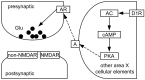 Figure 12.
