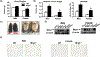 Figure 1-