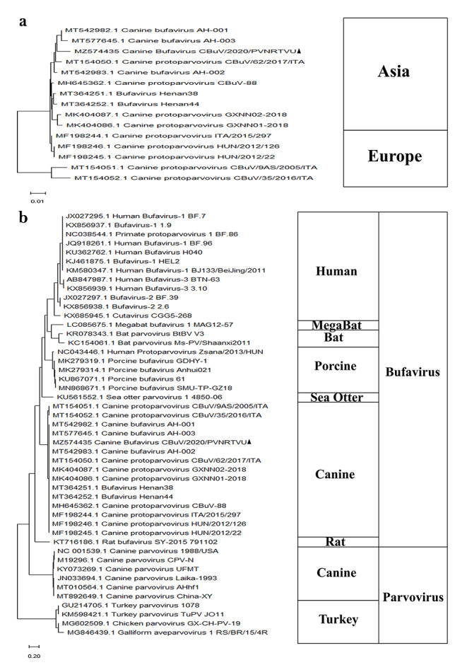 Figure 2