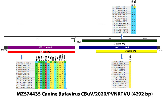 Figure 1