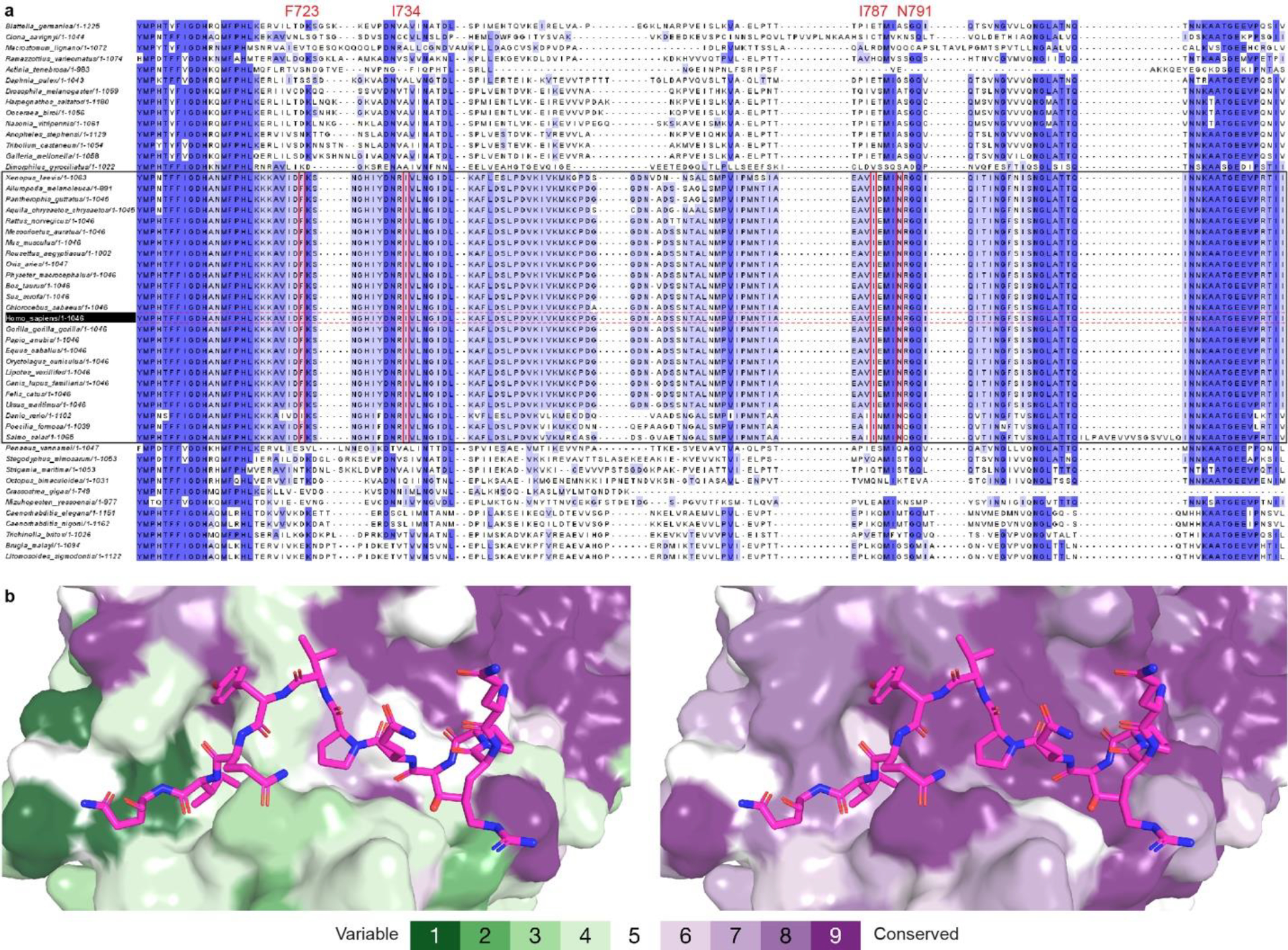 Extended Data Figure 3.