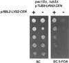 FIG. 3.