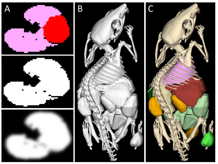 Figure 5