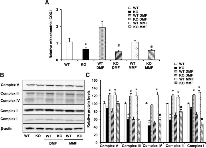 Figure 12.