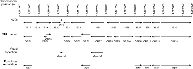 FIG. 1.