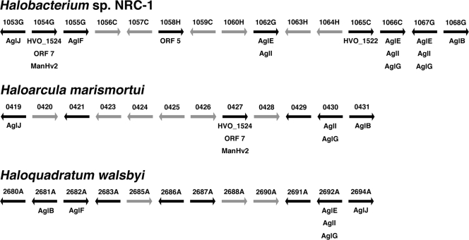 FIG. 4.