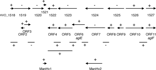 FIG. 2.