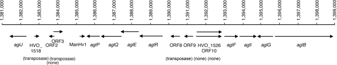 FIG. 5.