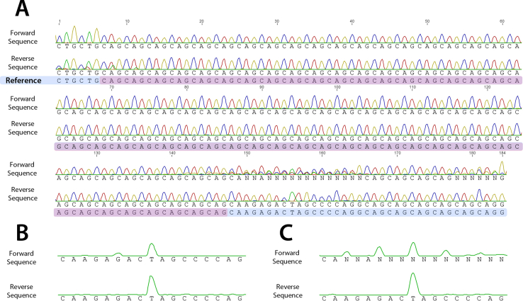 Supplementary Fig. 1