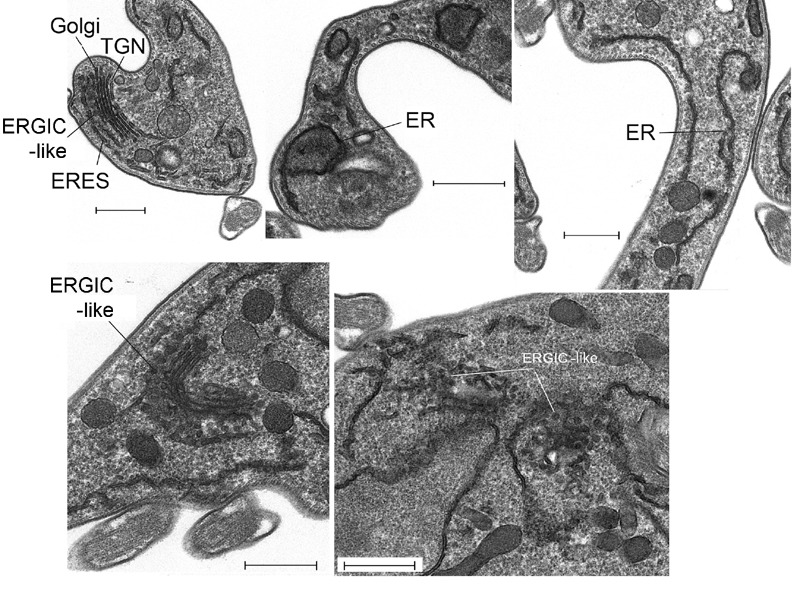 Figure 10