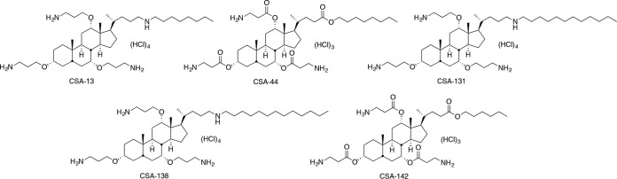 FIG 1