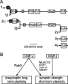 Figure 10.