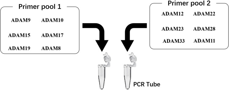 Figure 8