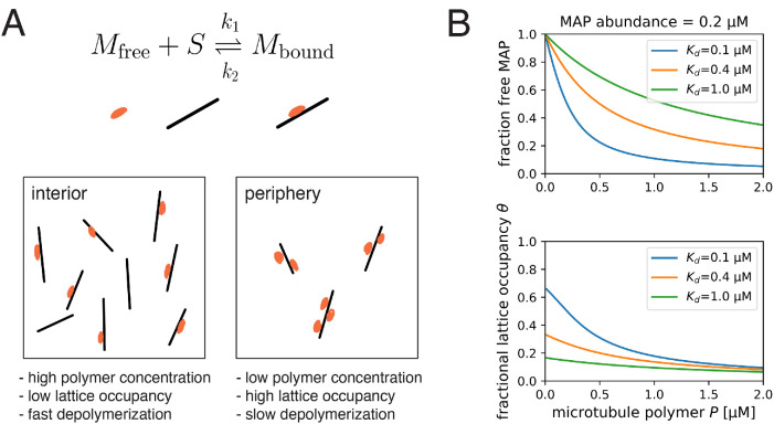 FIGURE 5: