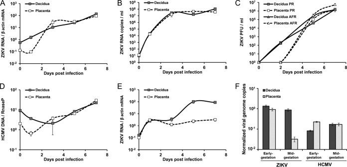 FIG 2