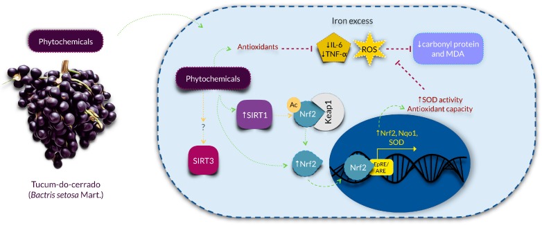 Figure 7