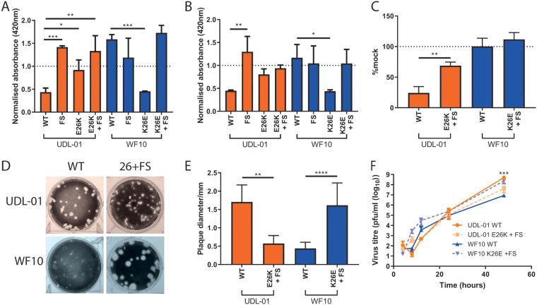 FIG 6