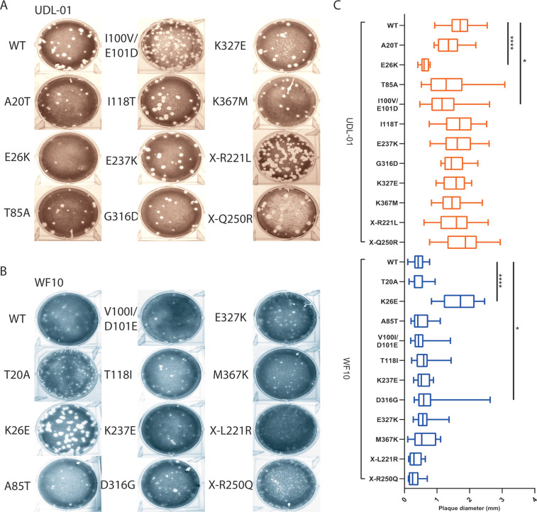 FIG 2