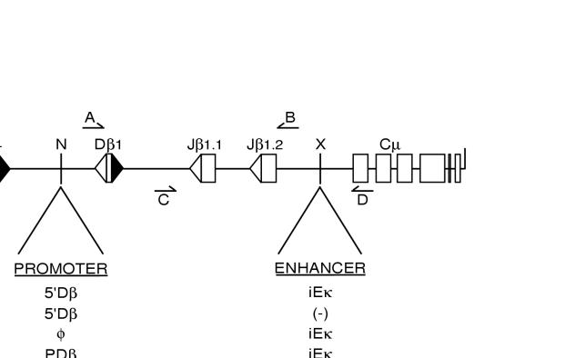 FIG. 1