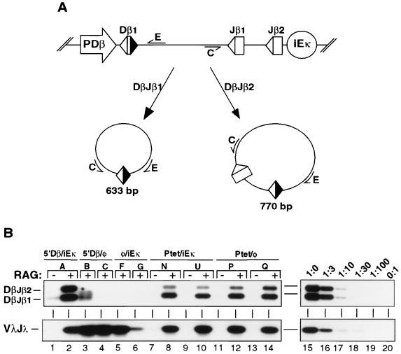 FIG. 6