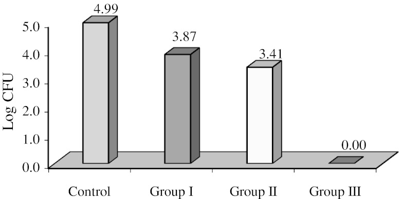 Fig. 6