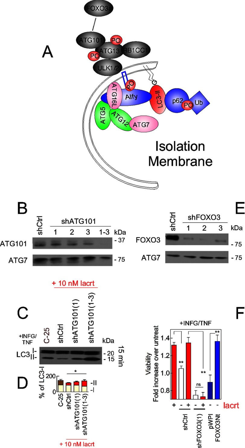 FIGURE 9.