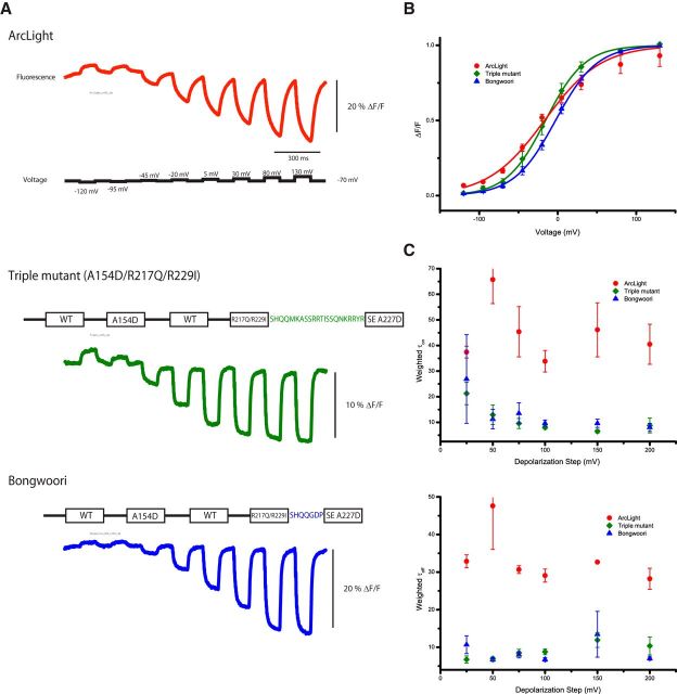 Figure 6.