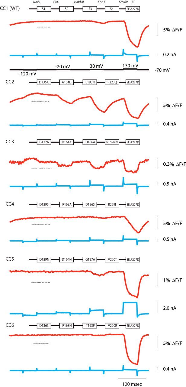 Figure 2.