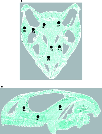 Fig. 4