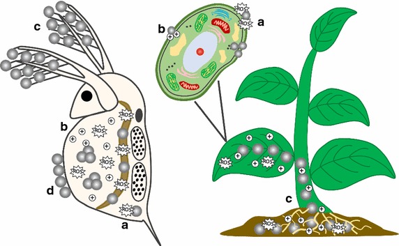 Fig. 3