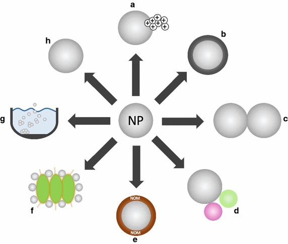 Fig. 2