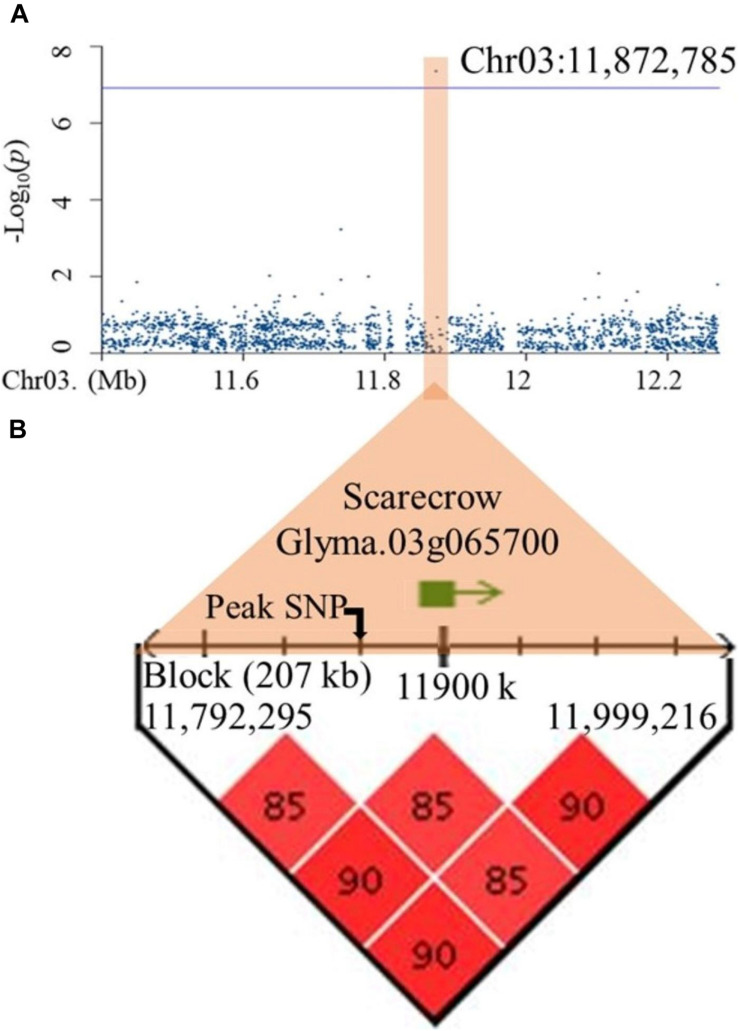 FIGURE 3