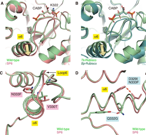 FIGURE 4.