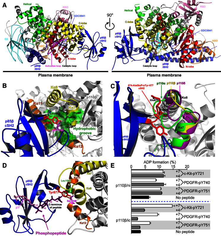 Figure 2