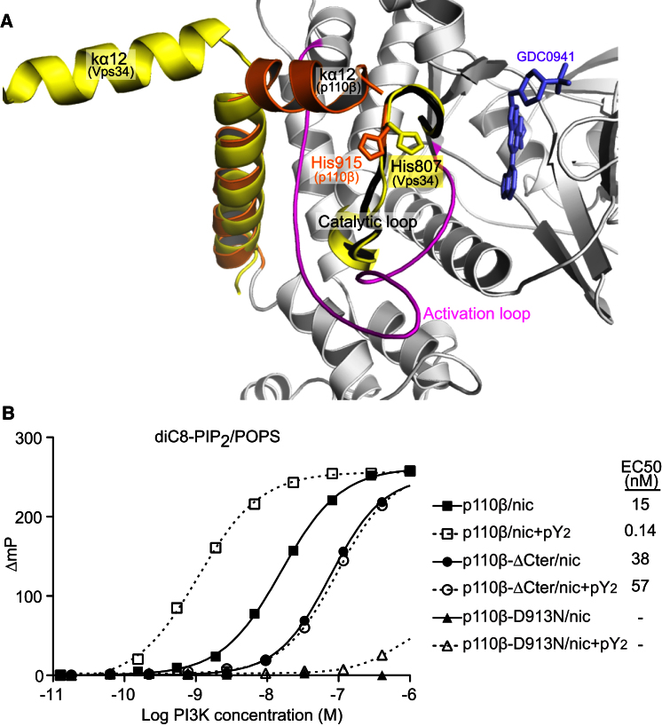 Figure 5