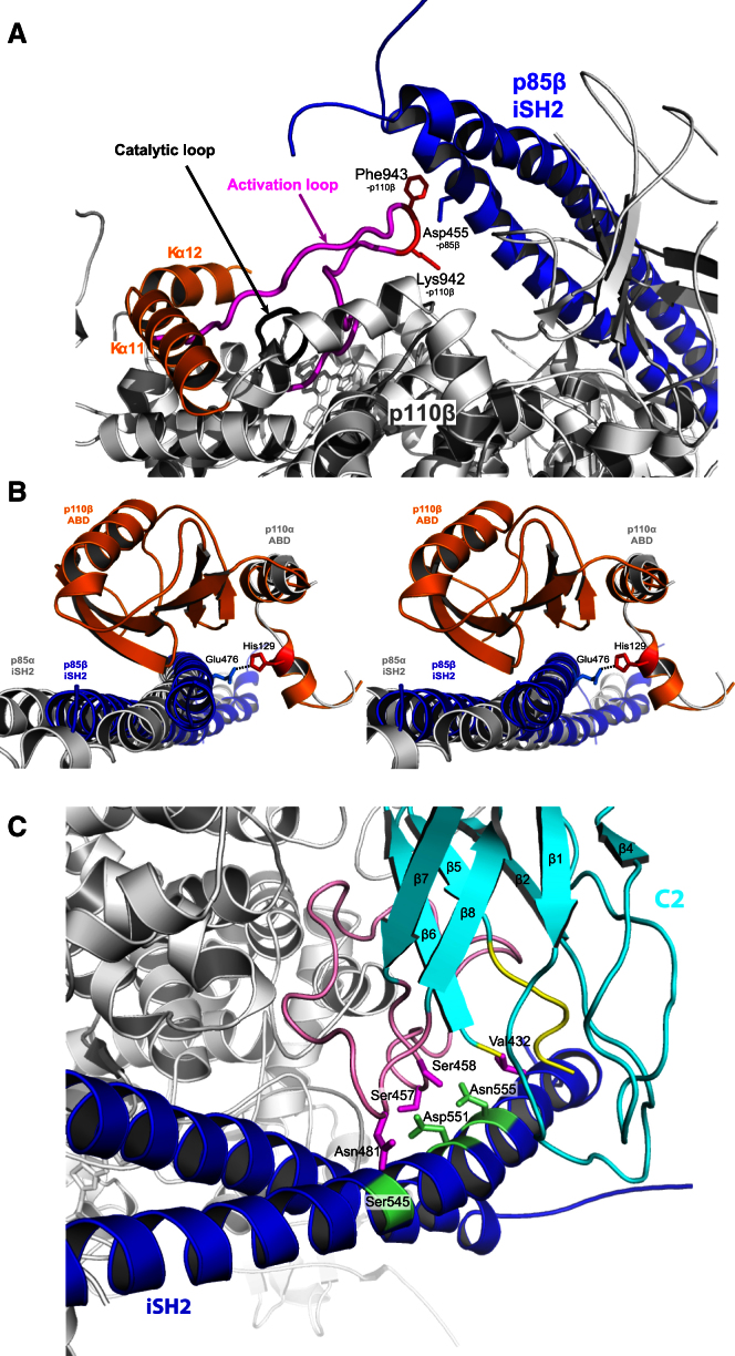 Figure 6