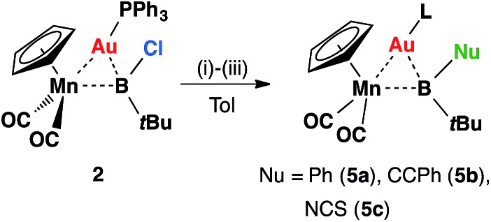 Scheme 2