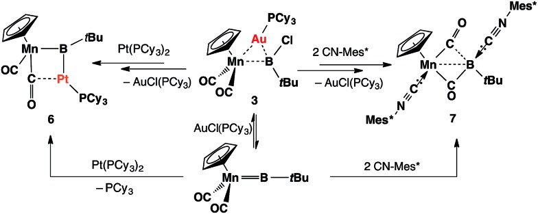 Scheme 3