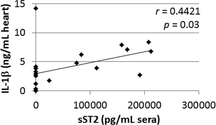 Figure 19