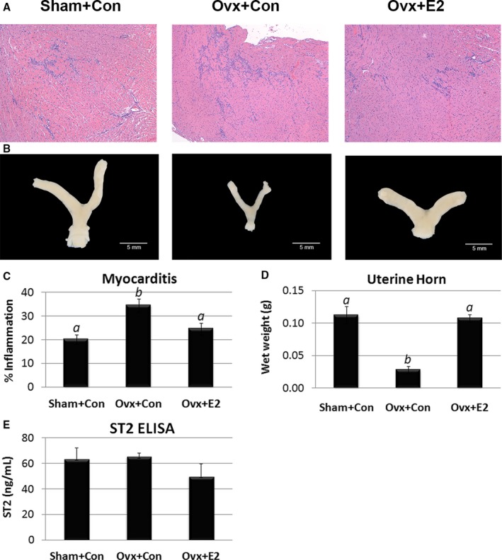 Figure 17