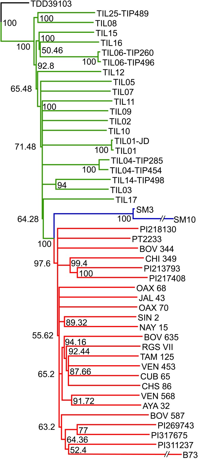 Fig. 2.