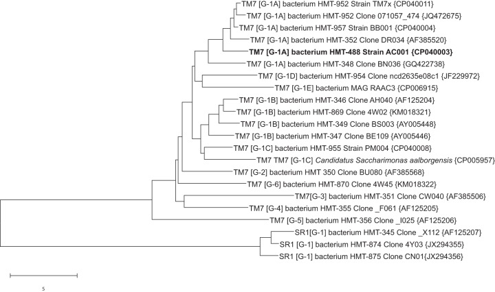 FIG 1