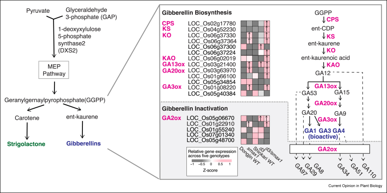 Figure 2