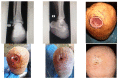 Figure 19