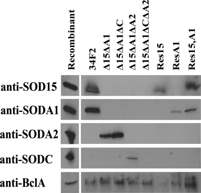 FIG. 6.