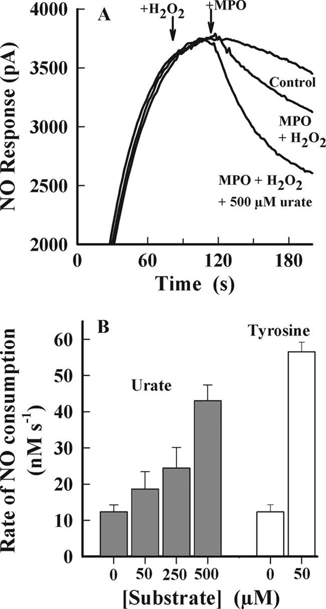 FIGURE 7.