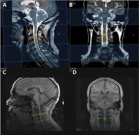 graphic file with name awv086fig1g.jpg